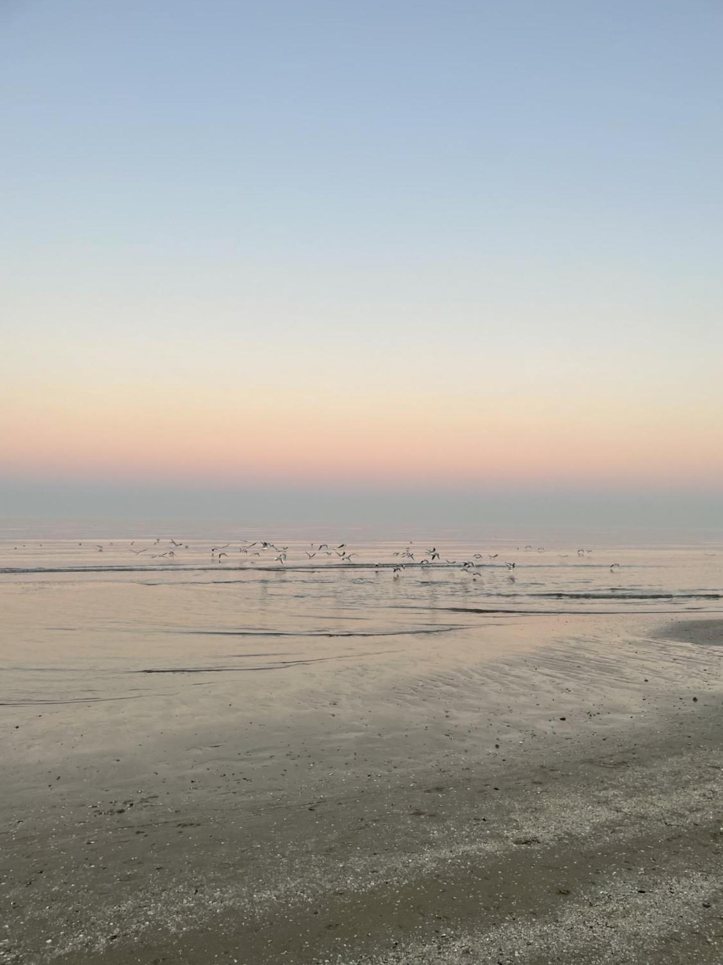 Hotel Napoleon Riccione Esterno foto