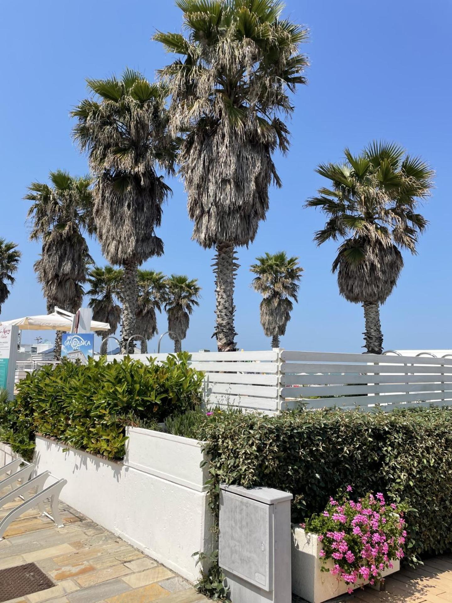 Hotel Napoleon Riccione Esterno foto